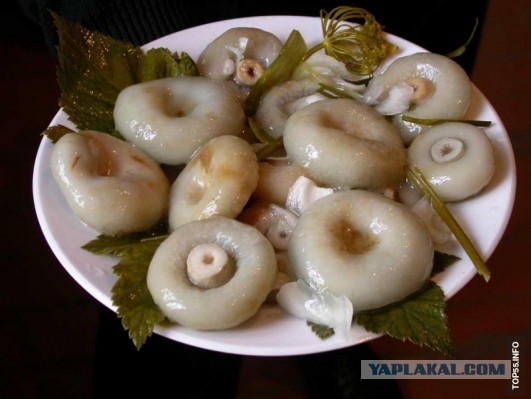 Любимая еда русских
