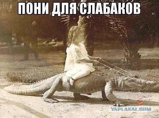Немного позитива на пятницу