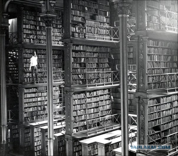 40 удивительных исторических фотографий