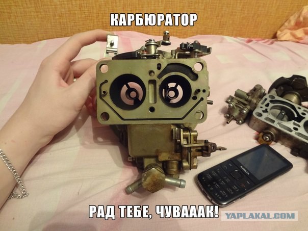Упоротость вокруг нас