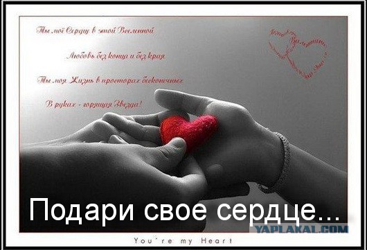 Кто остался без подарка на 23 февраля?