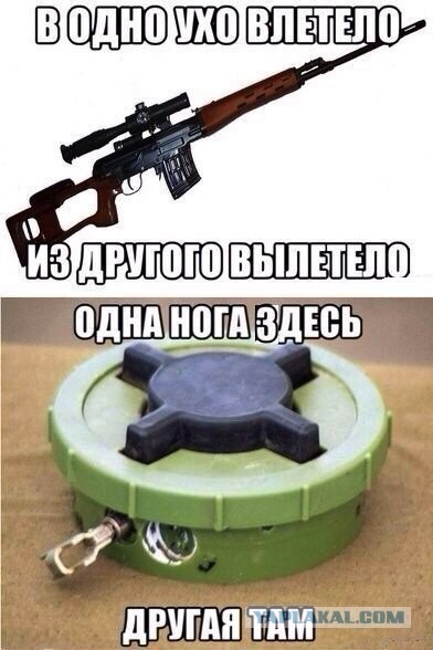 Веселое из сети