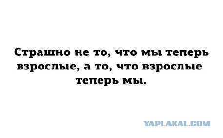 Тихон - главный кот Эрмитажа