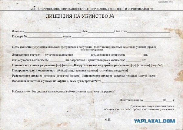 Картинки  разные