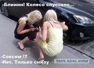 Куда ты летишь, у меня поворот открытый?!