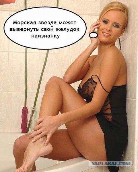Интересные факты о разном
