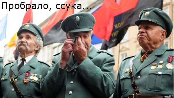 Эко Нэлю штырит
