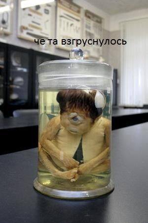 Музей судебной медицины