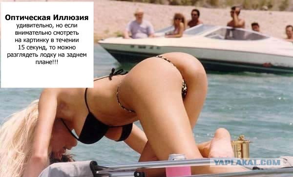 Что на фото