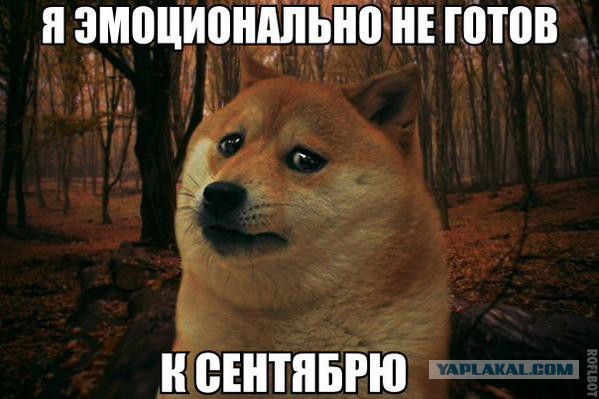 Картинки из интернета