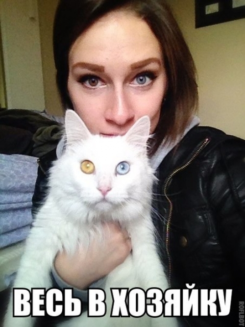 Котовторник