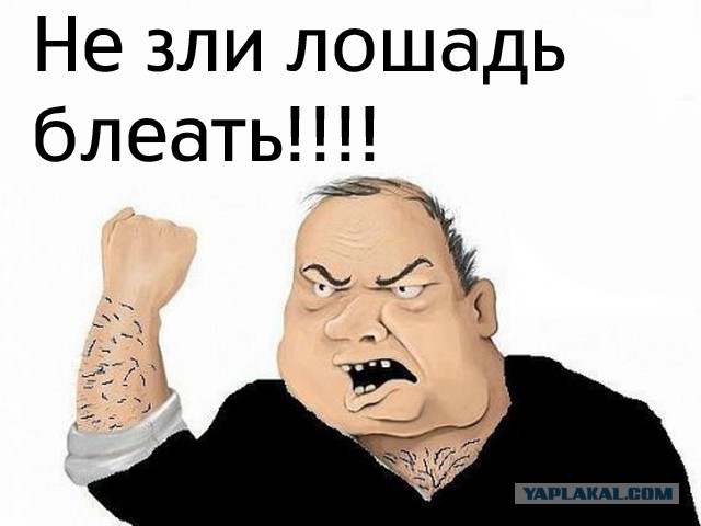 Питбуль атакует лошадь
