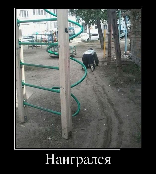 Немного веселых картинок