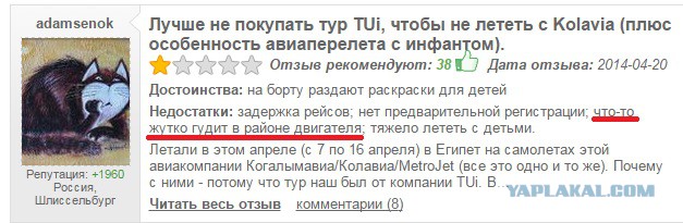 В Египте разбился российский пассажирский самолет, Airbus-321 "Когалымавиа"