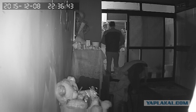 За что я люблю китайцев