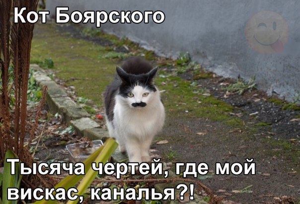Картинки и демотиваторы