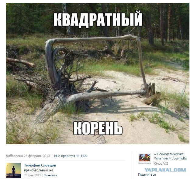 Смешные комментарии  из социальных сетей