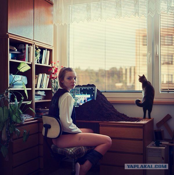 Ужасы и приколы из соцсетей 18+