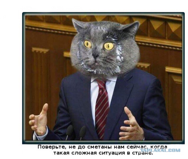 Мы всё?