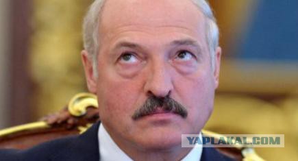 Стало известно, какие страны больше всего пострадали от российских контрсанкций