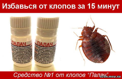 Клопики заели…