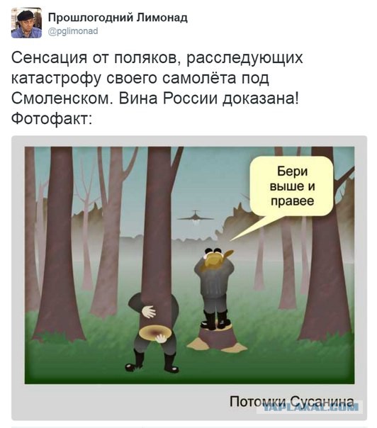Польша возмущена продажей земли на месте катастрофы самолета Качиньского под Смоленском