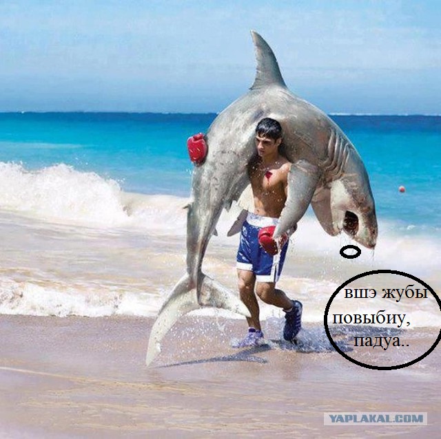 Своя ноша не тянет