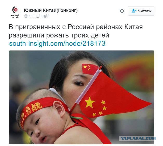 Непризнанный Донбасс. Жизнь между миром и войной