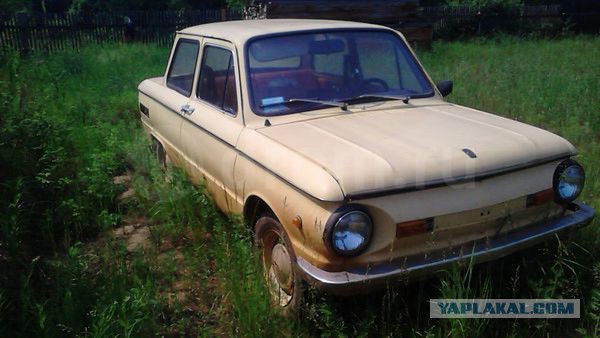 Вот я и стал тем злым мужиком со двора...