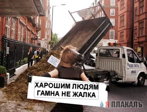 Фотожаба: Твой лозунг на пятницу и выходные!