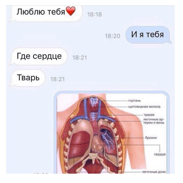 Ужасы и приколы из соцсетей 18+