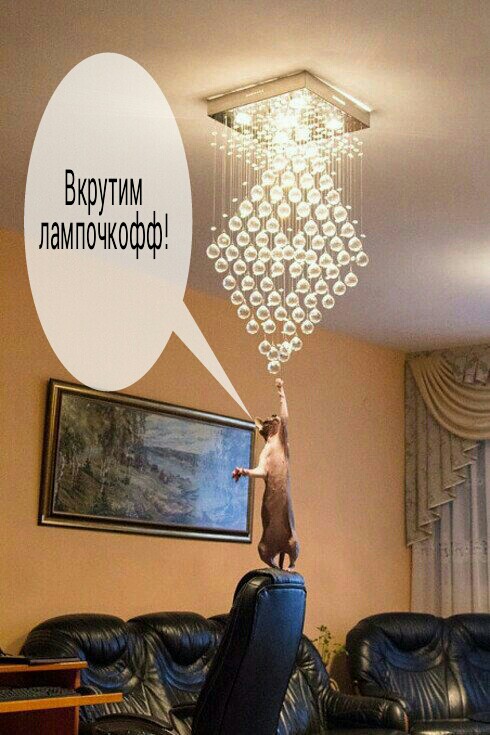 Пастила или эксперименты с электросушилкой.