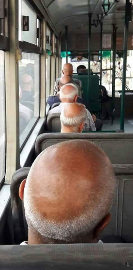 Мои фотки