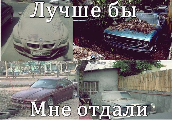 Забавные картинки вразнобой