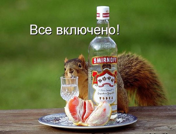 Всячина. Картинки и тексты картинками.