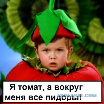 Давеча с Хрюшей летел в самолете
