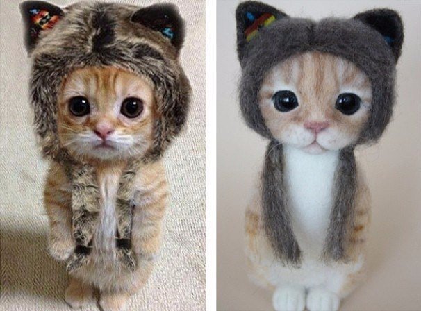 Коты и Кошки