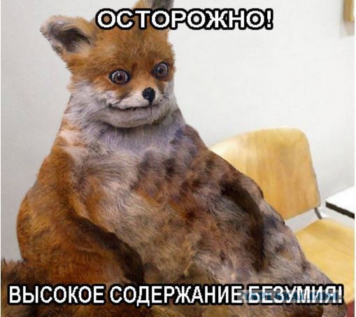 Президент России пообещал ответить на хамское отношение США