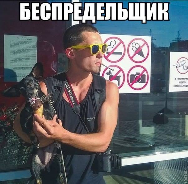 Картинок пост
