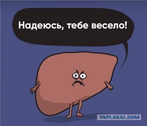 Подборка интересных и веселых картинок
