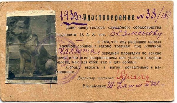 То, что было в вермахте и чего не было в РККА