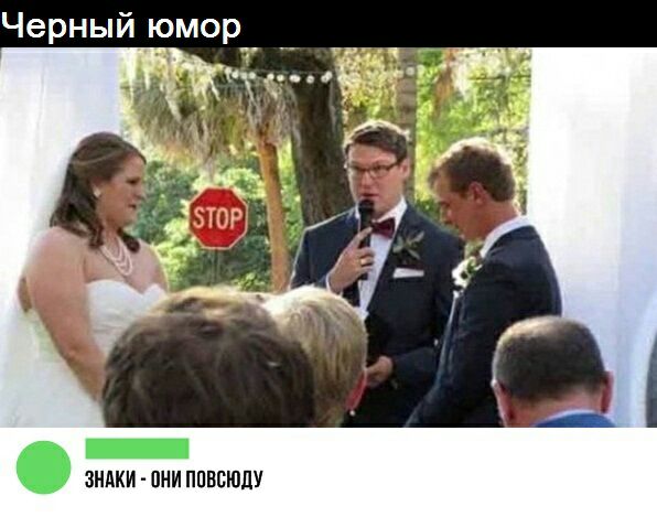 Картинки веселые и интересные
