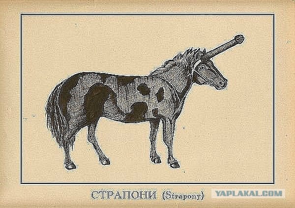 Как белка в колесе