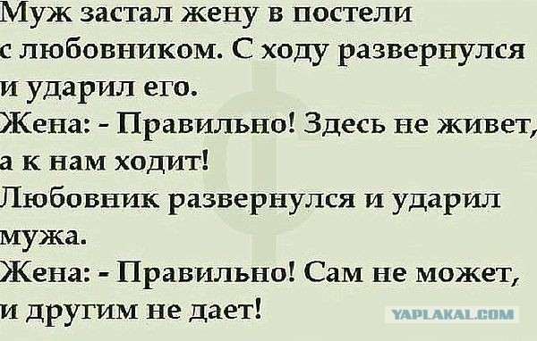 Смешные комментарии из социальных сетей 23.11.2018
