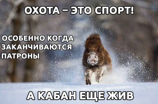 Боевой кабанчик