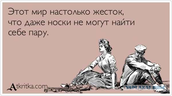 Мгновение удачной охоты