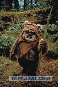 Кто?! Кто посмел обидеть маленького?!