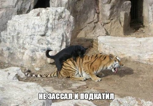 Куда катится жизнь