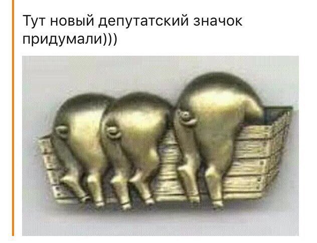 В Ленинградской области женщина-депутат за рулем Ауди Q7 не пропустила грузовик