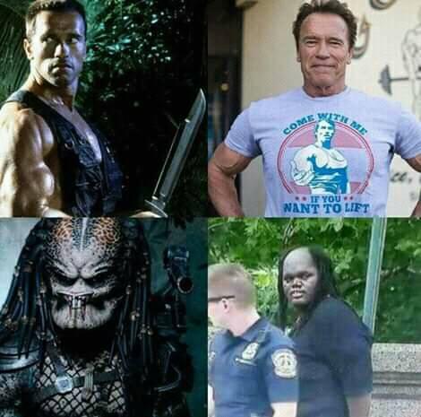 «Картинки разные нужны, картинки разные важны»